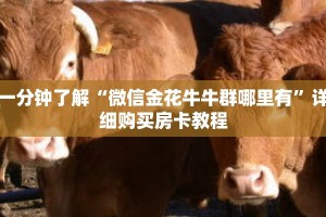 一分钟了解“微信金花牛牛群哪里有”详细购买房卡教程