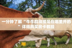 一分钟了解“新上游大厅牛牛房卡”获取详细房卡攻略