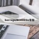 borrego/BORREGo车标