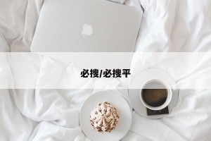 必搜/必搜平