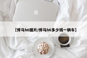 【悍马h6图片/悍马h6多少钱一辆车】