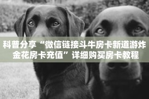 科普分享“微信链接斗牛房卡新道游炸 金花房卡充值”详细购买房卡教程