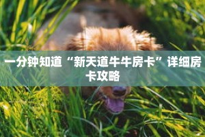 一分钟知道“新天道牛牛房卡”详细房卡攻略