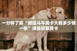 一分钟了解“微信斗牛房卡大概多少钱一张”详细获取房卡