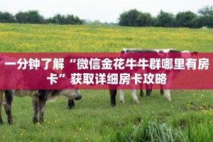 一分钟了解“微信金花牛牛群哪里有房卡”获取详细房卡攻略