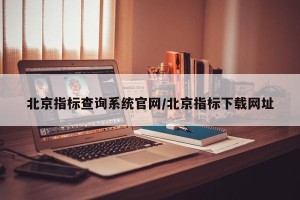 北京指标查询系统官网/北京指标下载网址