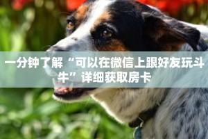 玩家秒懂“皇豪互众牛牛炸 金花房卡”详细购买房卡教程
