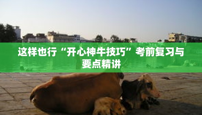 全面掌握“微乐斗地主透视软件”配套图文手册与指令表 全面掌握“微乐斗地主透视软件”配套图文手册与指令表