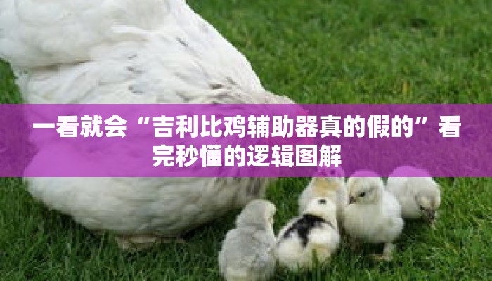 一看就会“吉利比鸡辅助器真的假的”看完秒懂的逻辑图解 一看就会“吉利比鸡辅助器真的假的”看完秒懂的逻辑图解