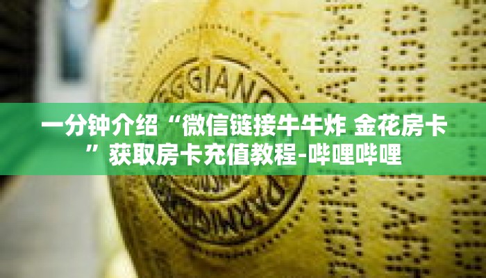 一分钟介绍“新二号房卡客服”获取房卡充值教程-哔哩哔哩