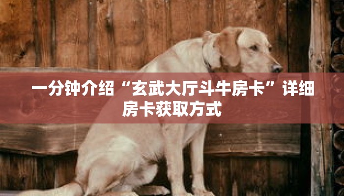 秒懂百科“神盾大厅拼三张房卡”详细购买房卡教程 秒懂百科“神盾大厅拼三张房卡”详细购买房卡教程