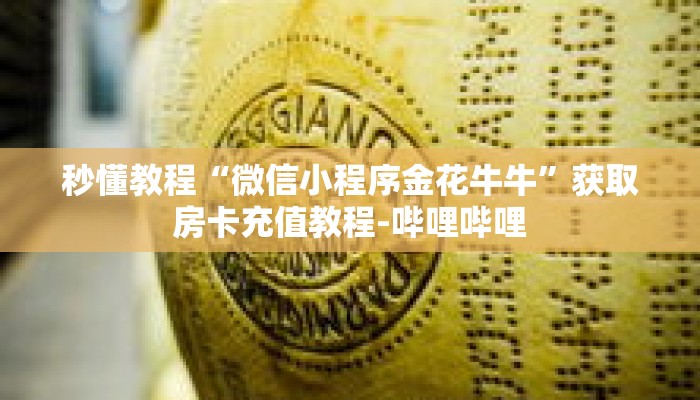秒懂教程“微信小程序金花牛牛”获取房卡充值教程-哔哩哔哩 秒懂教程“微信小程序金花牛牛”获取房卡充值教程-哔哩哔哩