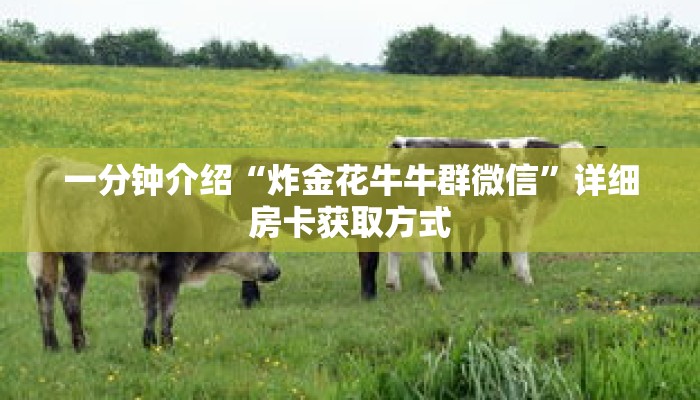 科普分享“微信怎么创建牌九房间”详细获取房卡 科普分享“微信怎么创建牌九房间”详细获取房卡