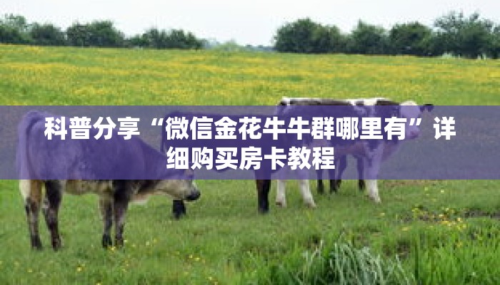 科普分享“微信金花牛牛群哪里有”详细购买房卡教程 科普分享“微信金花牛牛群哪里有”详细购买房卡教程