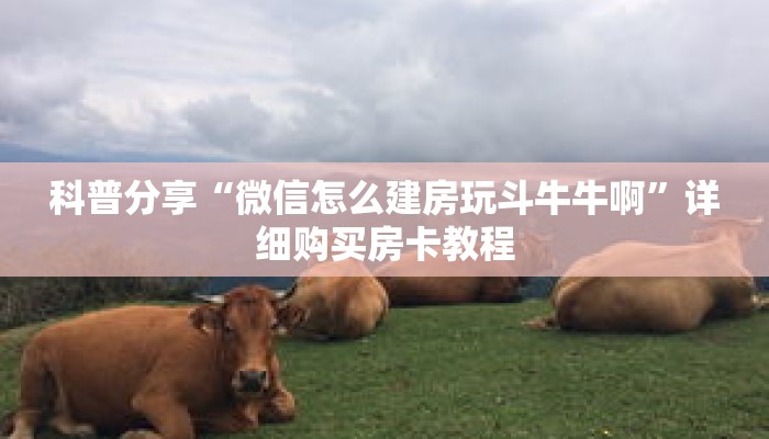 科普分享“微信怎么建房玩斗牛牛啊”详细购买房卡教程