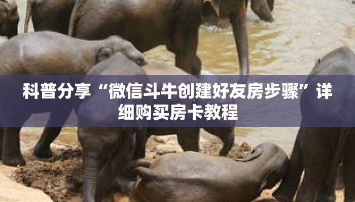 一分钟知道“旺旺大厅怎么买房卡”详细房卡使用教程