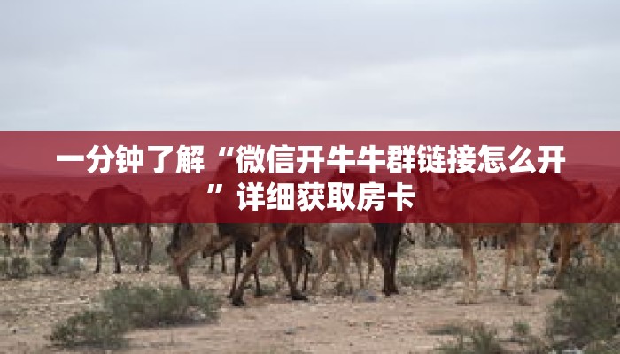 一分钟了解“微信开牛牛群链接怎么开”详细获取房卡 一分钟了解“微信开牛牛群链接怎么开”详细获取房卡