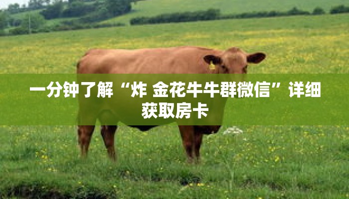 一分钟了解“炸 金花牛牛群微信”详细获取房卡 一分钟了解“炸 金花牛牛群微信”详细获取房卡