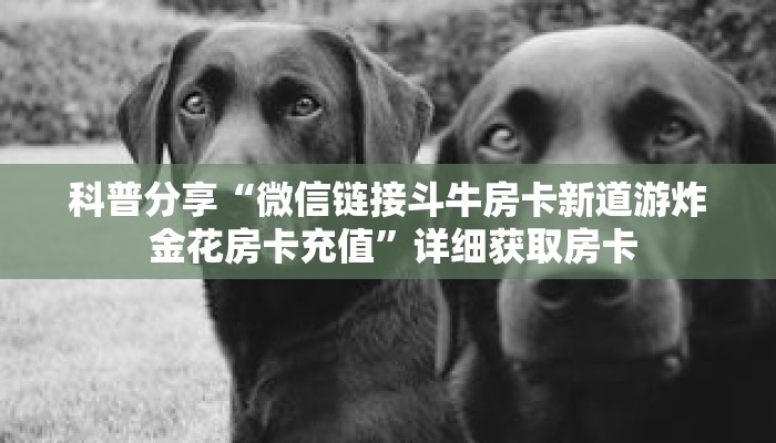 一分钟了解“微信吉祥三公房卡怎么用”详细获取房卡 一分钟了解“微信吉祥三公房卡怎么用”详细获取房卡