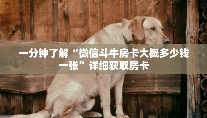 一分钟了解“微信斗牛房卡大概多少钱一张”详细获取房卡 一分钟了解“微信斗牛房卡大概多少钱一张”详细获取房卡