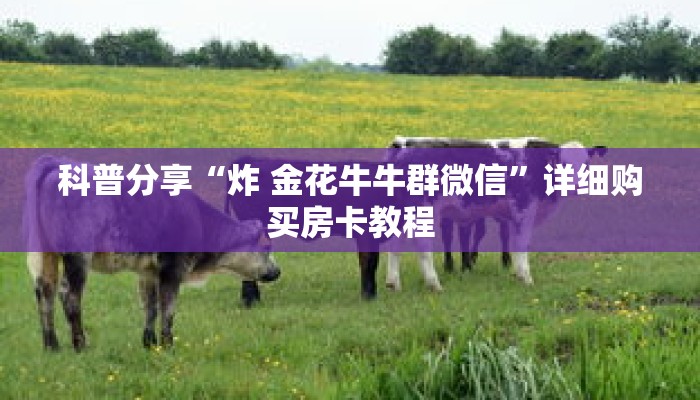 科普分享“皇豪互众房卡链接怎么用”详细购买房卡教程 科普分享“皇豪互众房卡链接怎么用”详细购买房卡教程