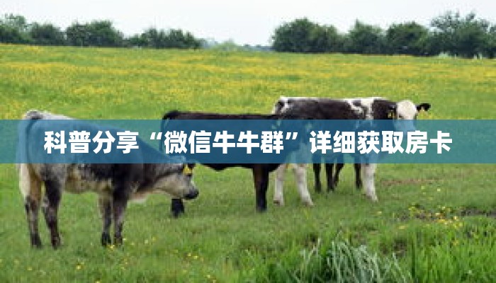 科普分享“微信牛牛群”详细获取房卡 科普分享“微信牛牛群”详细获取房卡