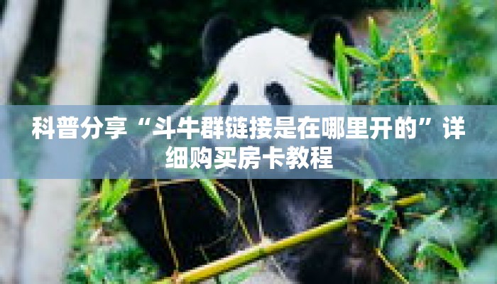 科普分享“斗牛群链接是在哪里开的”详细购买房卡教程 科普分享“斗牛群链接是在哪里开的”详细购买房卡教程