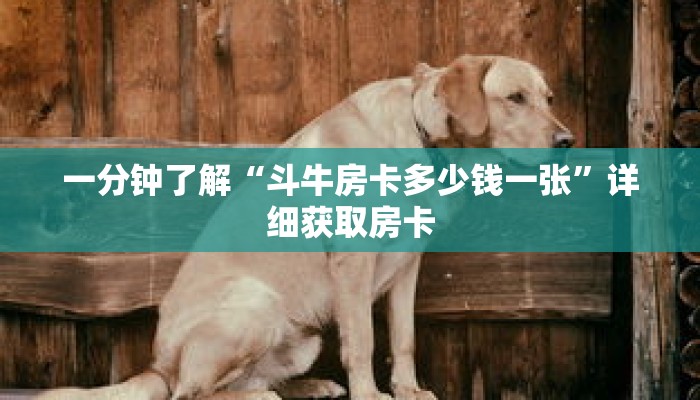 一分钟了解“斗牛房卡多少钱一张”详细获取房卡 一分钟了解“斗牛房卡多少钱一张”详细获取房卡