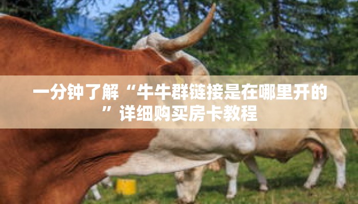 一分钟了解“新上游大厅牛牛房卡”获取详细房卡攻略 一分钟了解“新上游大厅牛牛房卡”获取详细房卡攻略