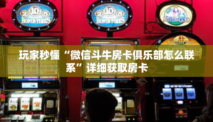 玩家秒懂“微信斗牛房卡俱乐部怎么联系”详细获取房卡 玩家秒懂“微信斗牛房卡俱乐部怎么联系”详细获取房卡