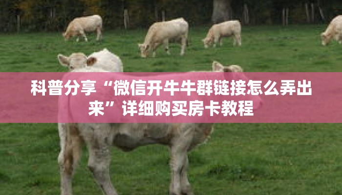 科普分享“微信开牛牛群链接怎么弄出来”详细购买房卡教程