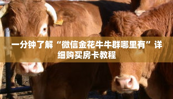 一分钟了解“微信金花牛牛群哪里有”详细购买房卡教程