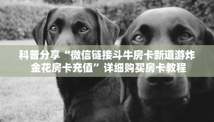 科普分享“微信链接斗牛房卡新道游炸 金花房卡充值”详细购买房卡教程 科普分享“微信链接斗牛房卡新道游炸 金花房卡充值”详细购买房卡教程