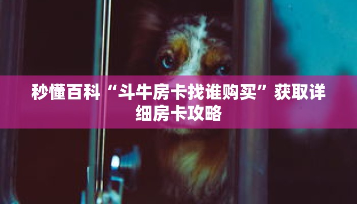 秒懂百科“斗牛房卡找谁购买”获取详细房卡攻略